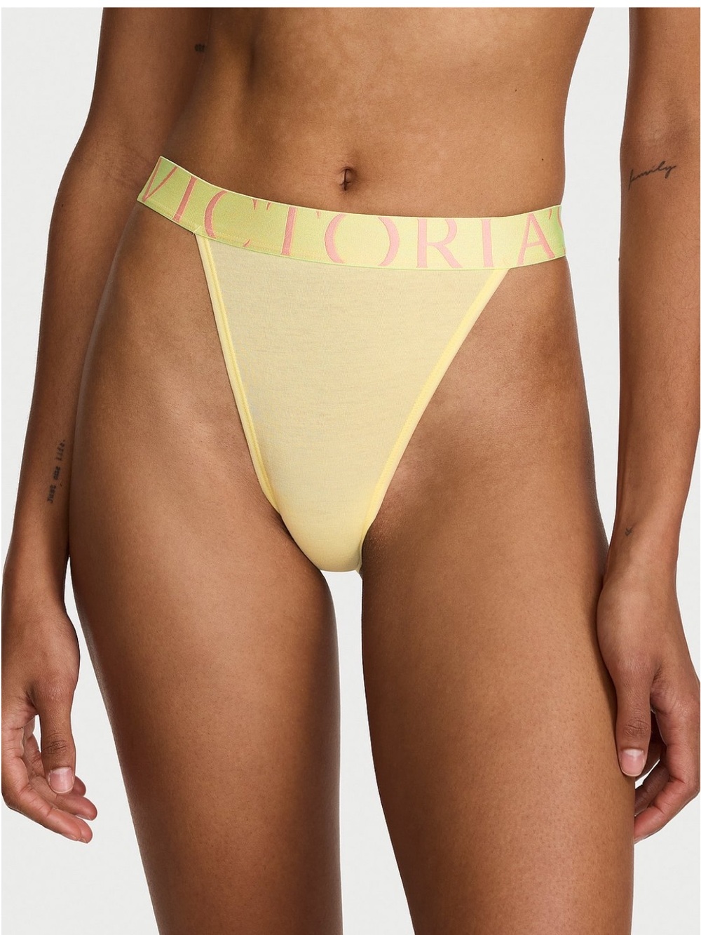 NWT Victoria's Secret Exploded Logo Cotton 90s Brief Panty.
